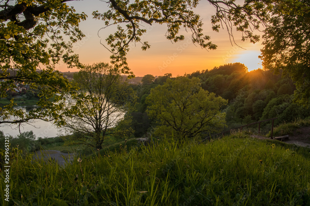 spring sunset in the park 