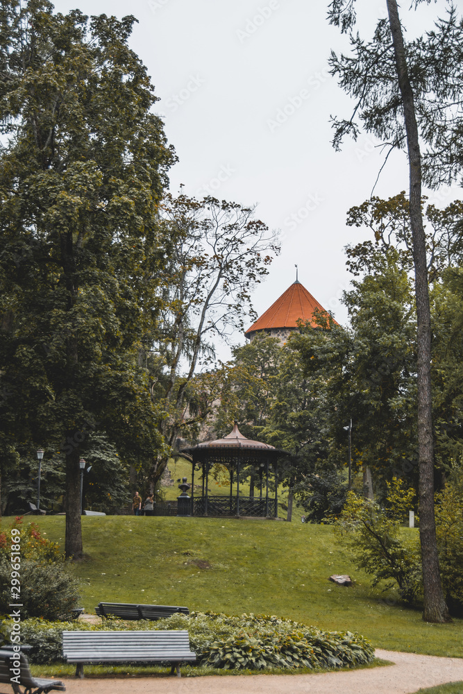 Fototapeta premium old wooden house in the forest