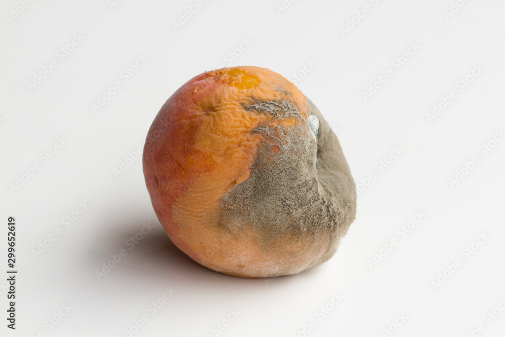 Fototapeta premium Moldy peach isolated on white background.