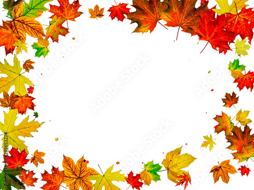 Autumn leaf pattern. Season falling leaves background. Thanksgiving concept