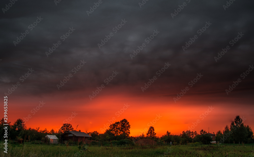 Fototapeta premium sunset over the field
