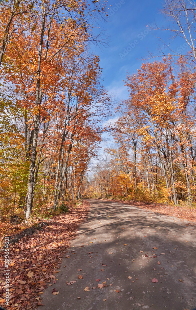 Fototapeta premium Fall colors in Canada