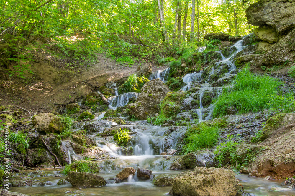 stream in forest stream in forest