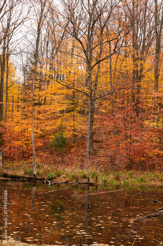 Fall colors in Canada