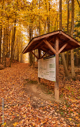 Fall colors in Canada
