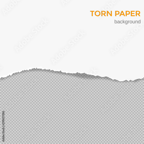 Vector torn paper background with empty space for text. White paper with ripped edge and shadow. It can be used as a mock up, templates,  cards, backgrounds for your own projects. EPS10 file.
