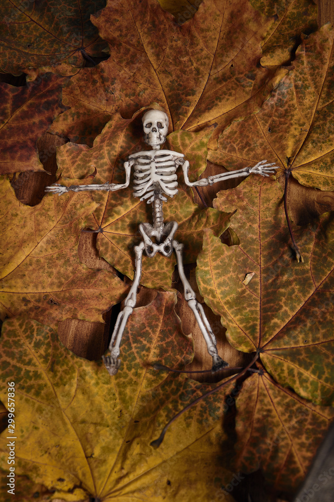 figure of a skeleton in the leaves and rowan berry figure of a skeleton in the leaves and rowan berry