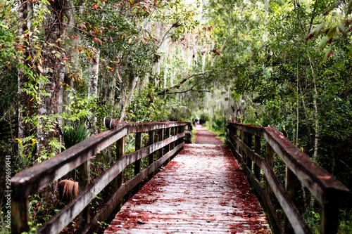 wooden bridge with squirrel