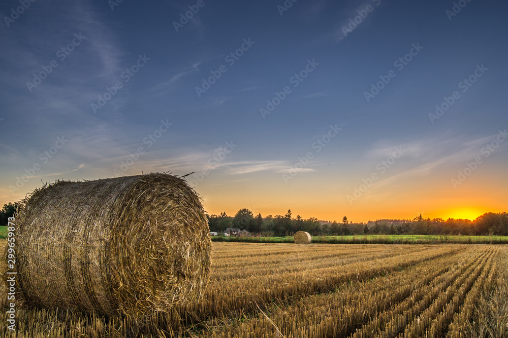 bales of hay in field