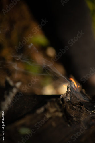 огонь , пламя, текстура, дым, горение, тлеющий, ясень, пепел , мангал,  дрова, угли,  размытость, лес, весна, деревья, ветки, кемпинг