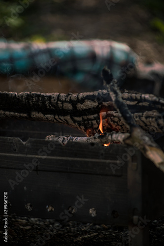  огонь, дрова,  кемпинг, горение, деревья, мангал,   тлеющий, ясень, угли, текстура, весна, размытость,  ветки, лес, 