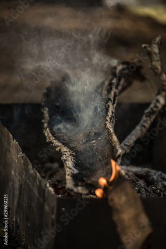 огонь , пламя, текстура, дым, горение, тлеющий, ясень, пепел , мангал,  дрова, угли,  размытость, лес, весна, деревья, ветки, кемпинг