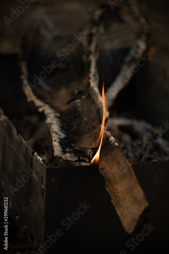  огонь, дрова,  кемпинг, горение, деревья, мангал,   тлеющий, ясень, угли, текстура, весна, размытость,  ветки, лес, 