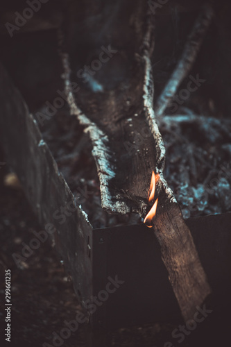  огонь, дрова,  кемпинг, горение, деревья, мангал,   тлеющий, ясень, угли, текстура, весна, размытость,  ветки, лес, 