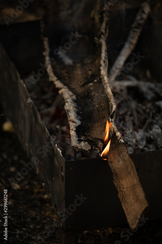  огонь, дрова,  кемпинг, горение, деревья, мангал,   тлеющий, ясень, угли, текстура, весна, размытость,  ветки, лес, 