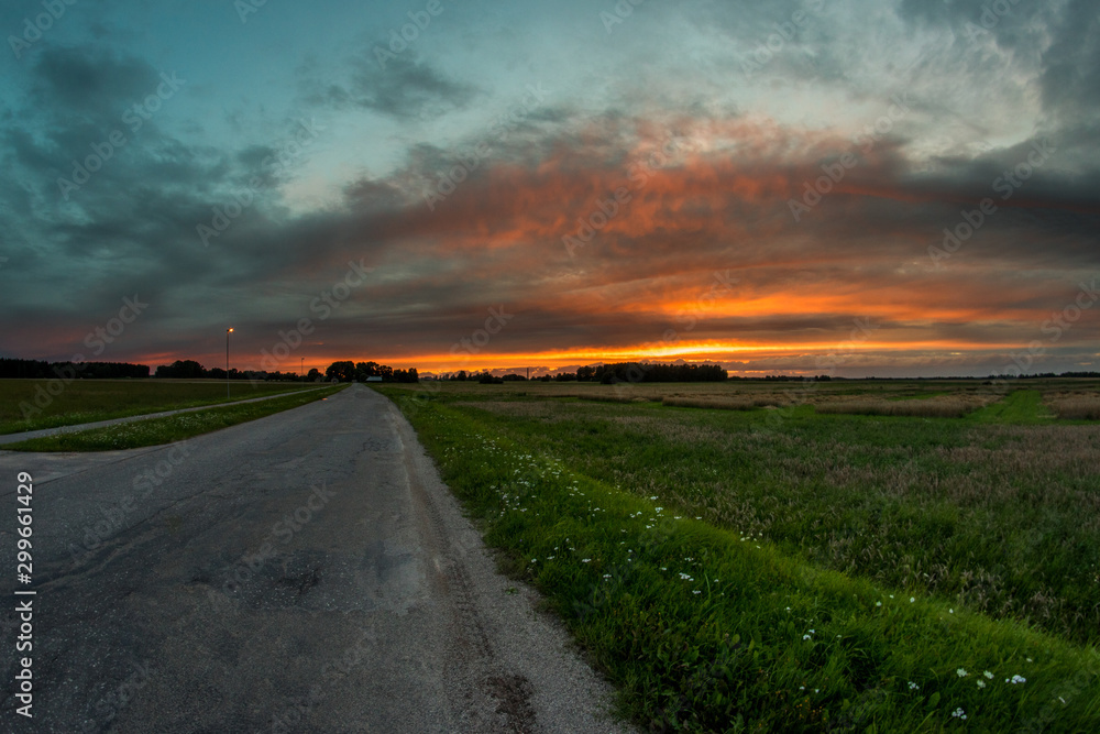 Fototapeta premium road in the field