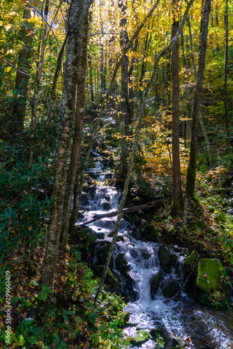 Appalachian Mountain Waterfall in Autumn Colors.