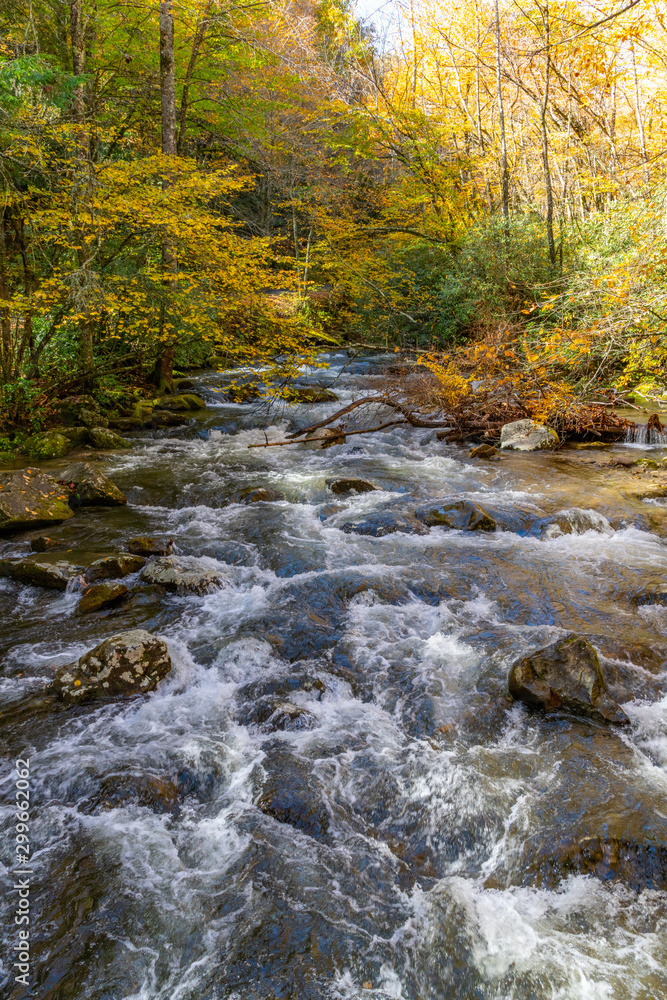 Appalachian Mountain Stream in Autumn Colors.