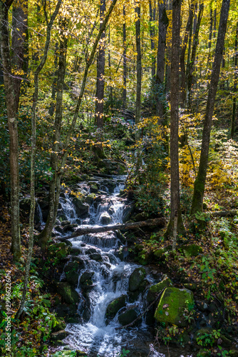 Mountain Waterfall In Autumn Colors.