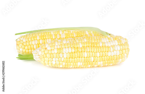 fresh bi colored white and yellow sweet corn on white background