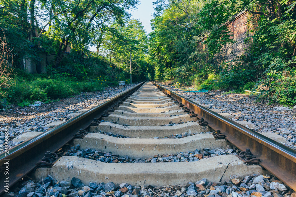 Fototapeta premium Rusty railroad tracks disappearing outdoors in green forest