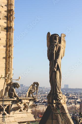 View from the towers of the Notre Dame Cathedral in Paris, France