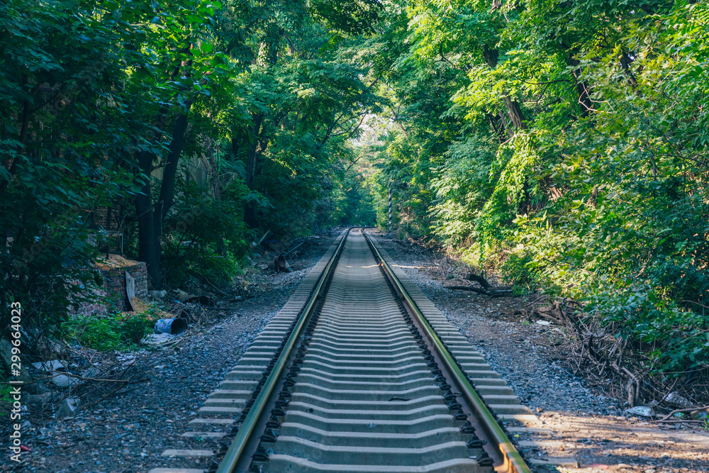 Rusty railroad tracks disappearing outdoors in green forest Rusty railroad tracks disappearing outdoors in green forest