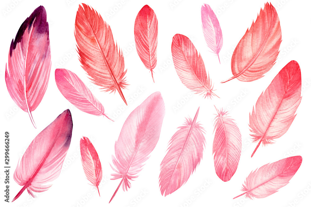 set of abstract pink feathers on an isolated white background, watercolor illustration, hand drawing set of abstract pink feathers on an isolated white background, watercolor illustration, hand drawing