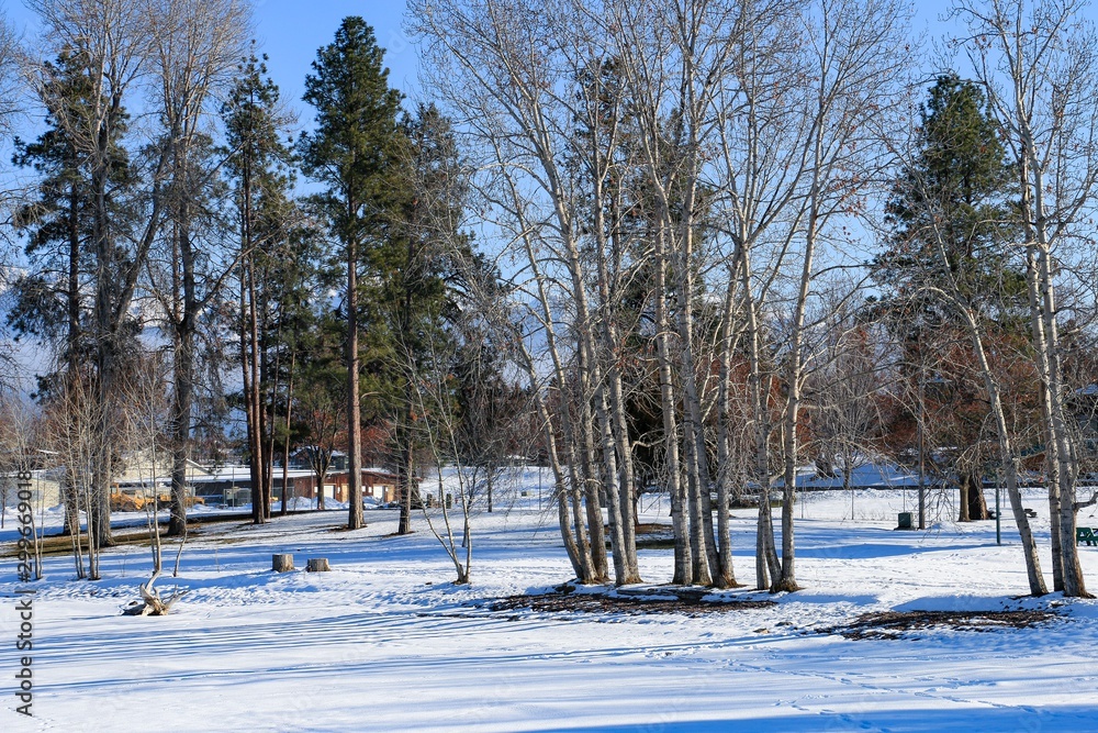 Boetcher Park Winter