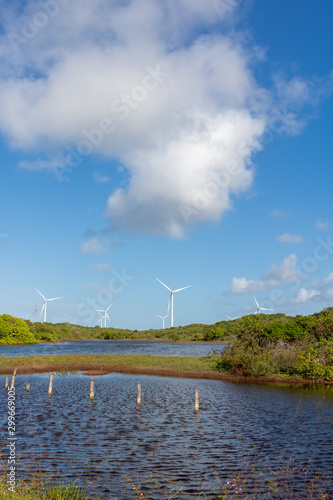 Wind turbins producing aeolian energy. Great concept of renewable, sustainable energy. In Touros-Rio grande do Norte - Brazil