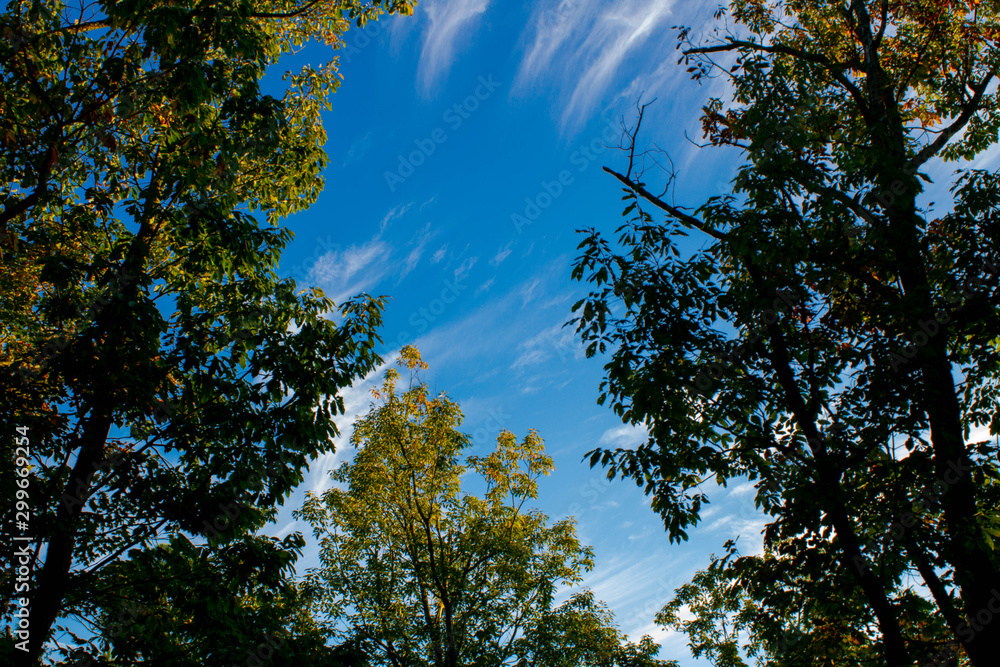 Blue sky Blue sky