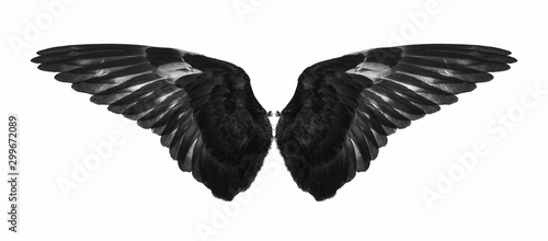black wings on a white © supasart