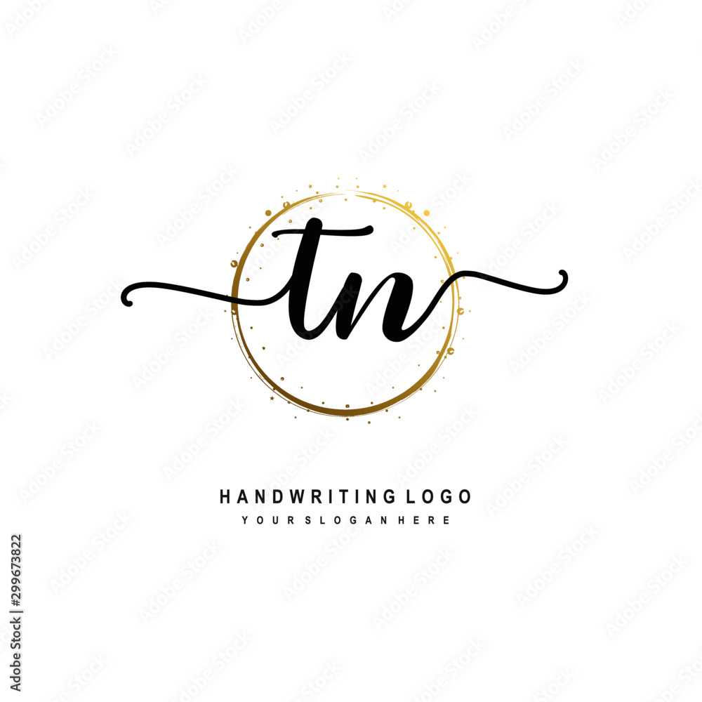 Initials letter TN vector handwriting logo template. with a circle brush and splash of gold paint Initials letter TN vector handwriting logo template. with a circle brush and splash of gold paint