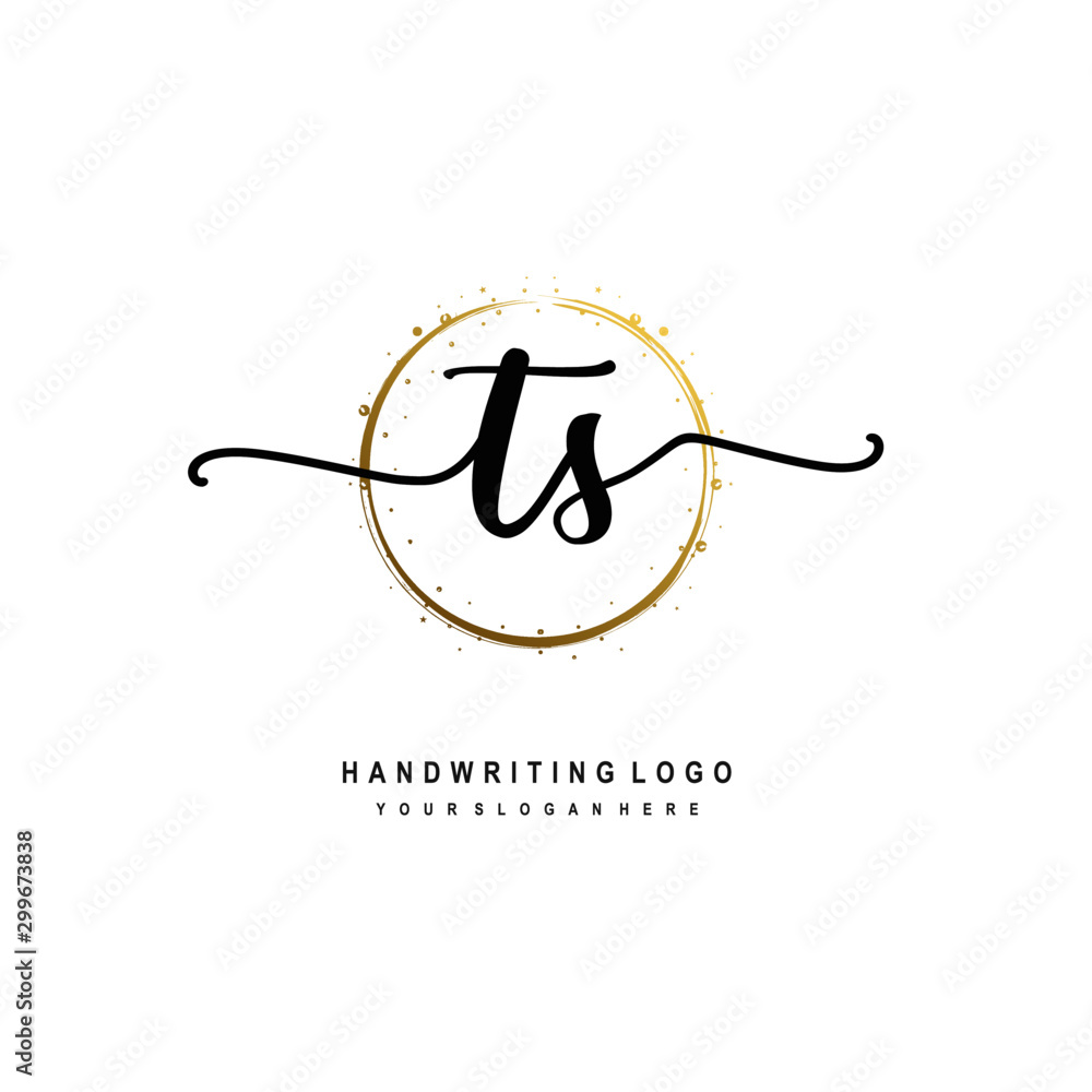 Initials letter TS vector handwriting logo template. with a circle brush and splash of gold paint Initials letter TS vector handwriting logo template. with a circle brush and splash of gold paint