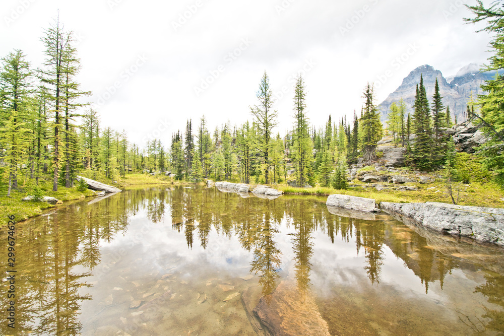 Hiking at Lake O’Hara area in Yoho national park Hiking at Lake O’Hara area in Yoho national park