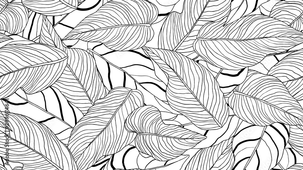 Fototapeta Foliage seamless pattern, long leaves line art ink drawing in black and white