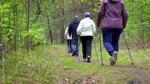 Large group of people practicing Nordic walking with poles in summer forest on a sunny day. A view from behind. 4k footage.
