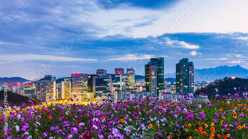 Sunrise of Seoul viewpoint from Haneul park and Beautiful cosmos flower photo