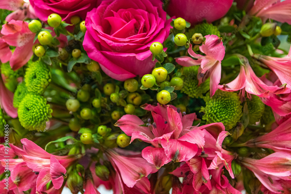 Fototapeta premium beautiful flowers with amazing colors in spring