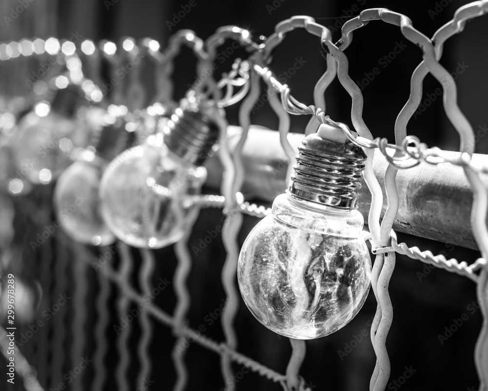 Monochromatic Light Globes, hanging on a vintage wire fence, shallow depth  of field. Stock Photo | Adobe Stock