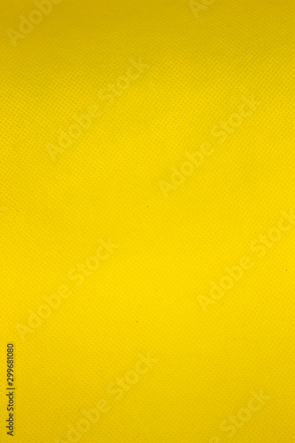 This is a photograph of a Vibrant Yellow textured backdrop