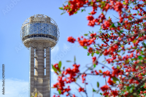 Famous Dallas Tower and Red Berries on Tree in Foreground (Spring) - Dallas, Texas, USA