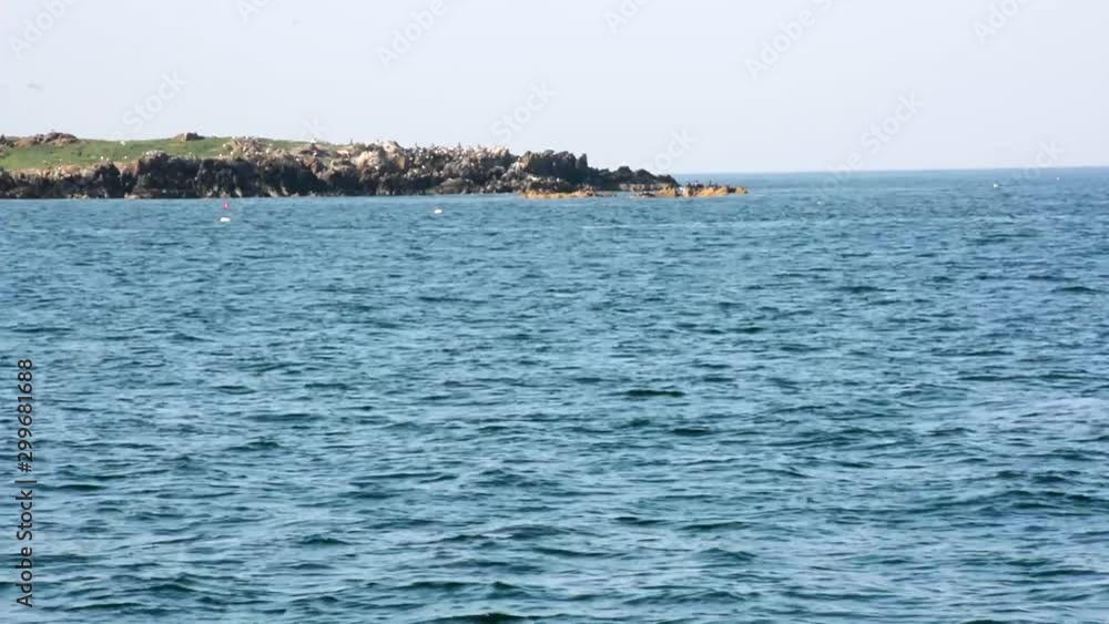 Edge of Rocky Island in Open Ocean Edge of Rocky Island in Open Ocean