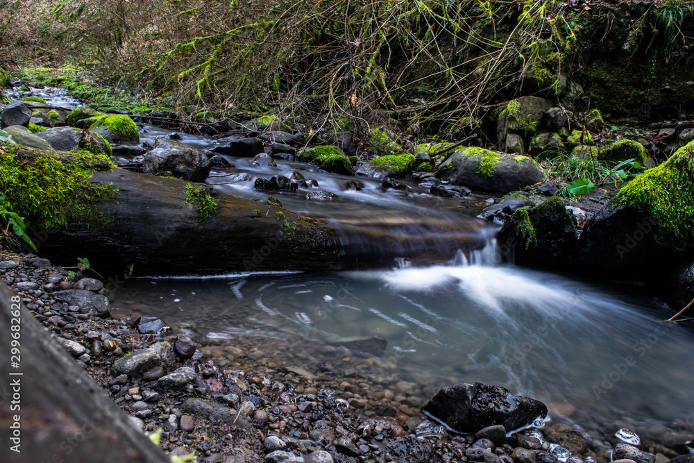 Small Fall Small Fall