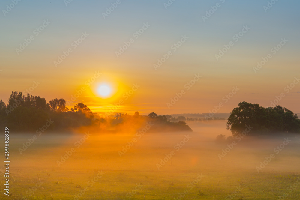 landscape fog in oak grove at dawn in the autumn