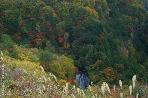 紅葉の山と滝のある風景