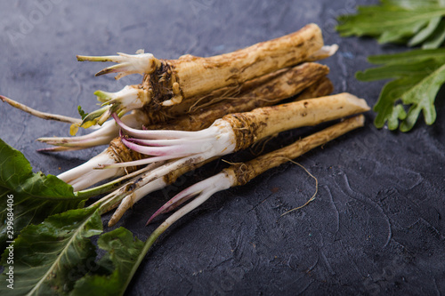 Fresh orgaanic horseradish or Horse-radish root on wooden cutting board. top view