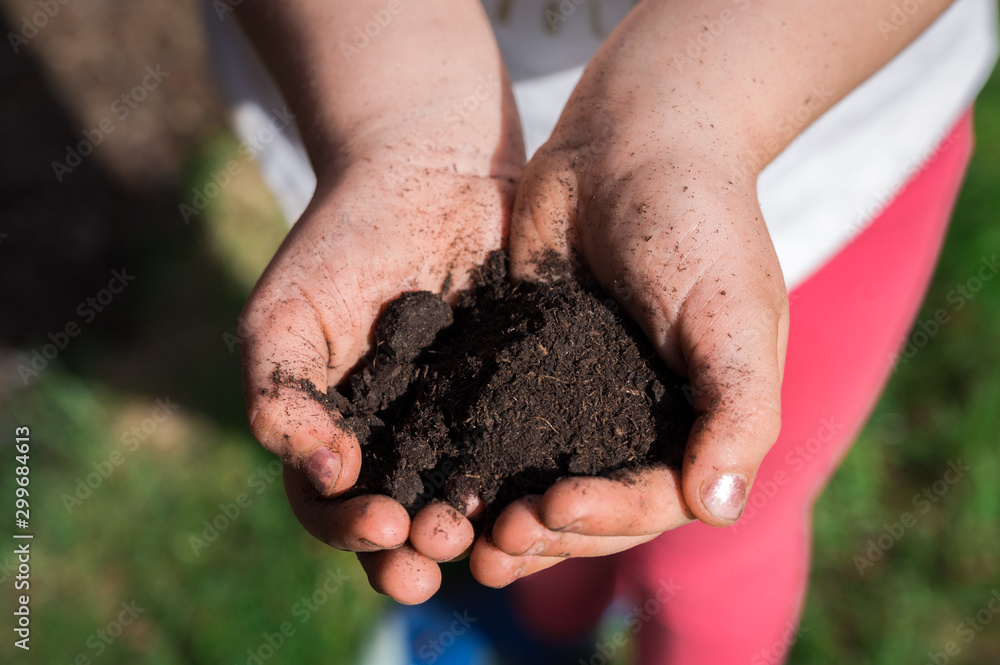 Child's hands holding garden soil