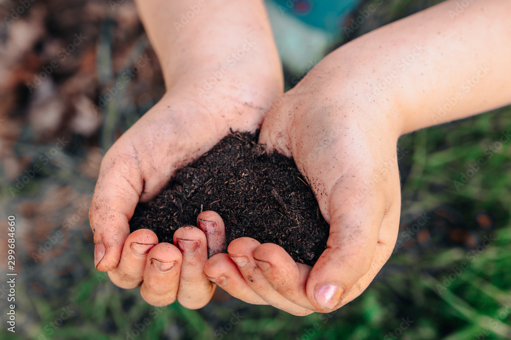 Child holding rich earth from the garden in two hands Child holding rich earth from the garden in two hands