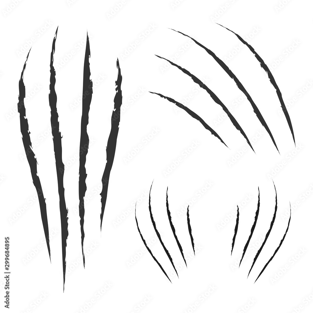 Black claws animal scratch scrape track. Cat tiger scratches paw shape